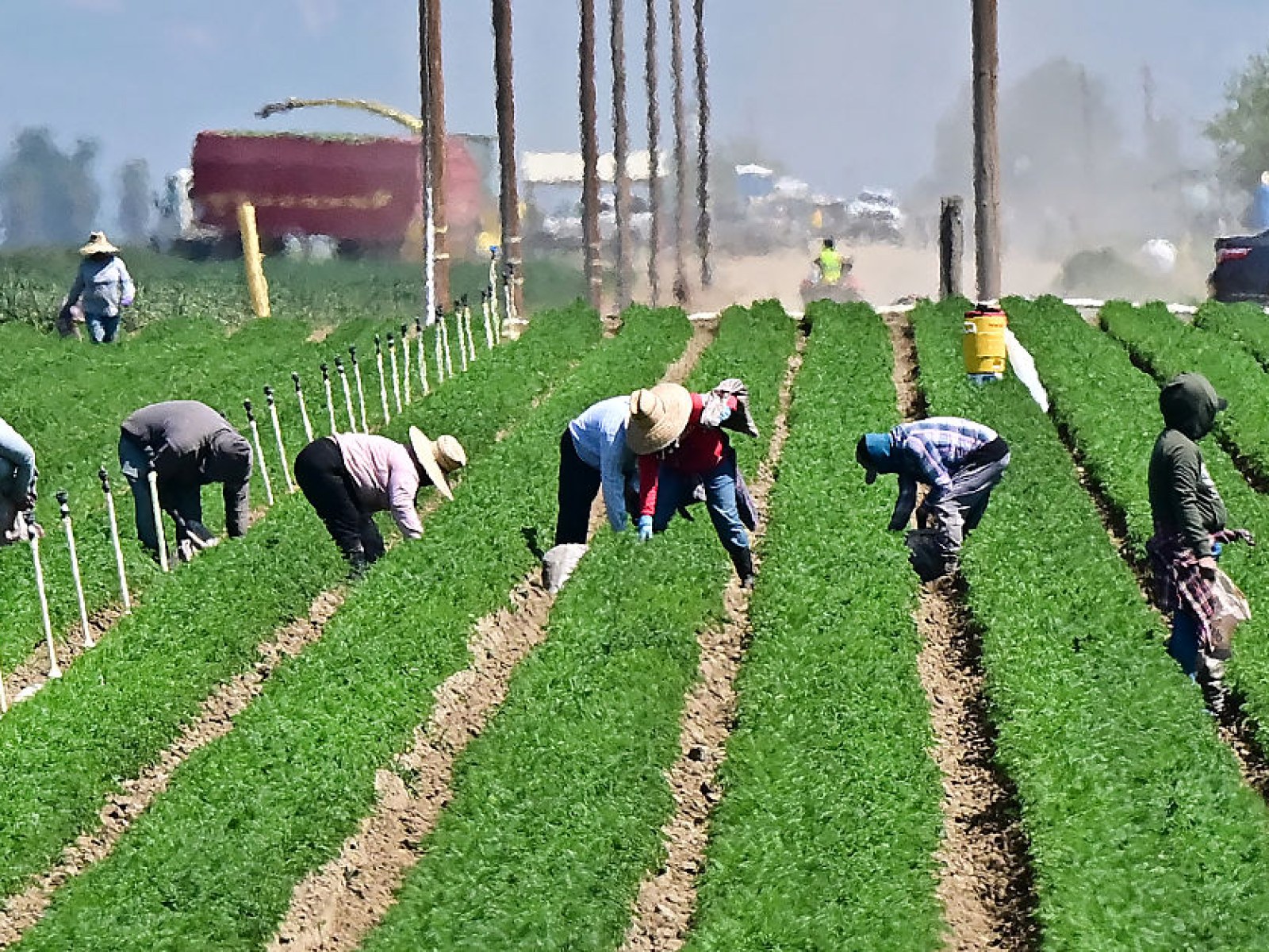 Farm Worker Jobs in Poland 2026