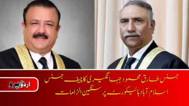 Justice Tariq