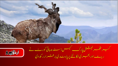 Kirthar National Park case