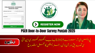 PSER Survey 2025