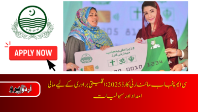 CM Punjab Minority Card 2025