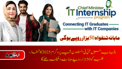 Punjab Launches IT Internship