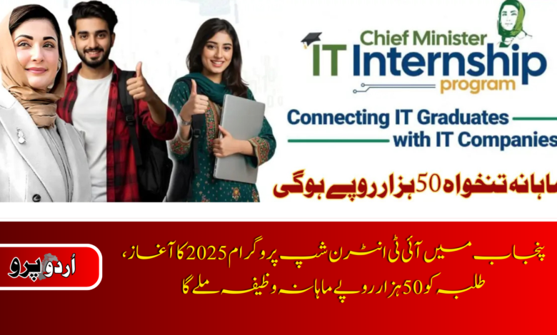 Punjab Launches IT Internship