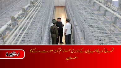 NKorea says Japan's nuclear