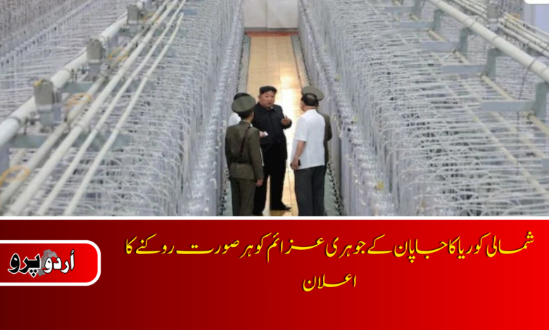 NKorea says Japan's nuclear