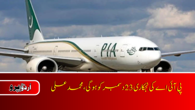 PIA privatization