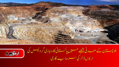 Five Pakistani business