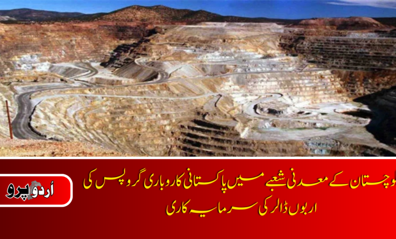 Five Pakistani business