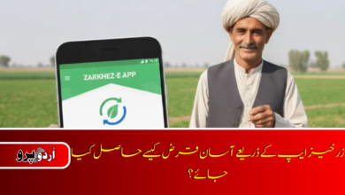 How to get easy loan through Zarkhez-e app
