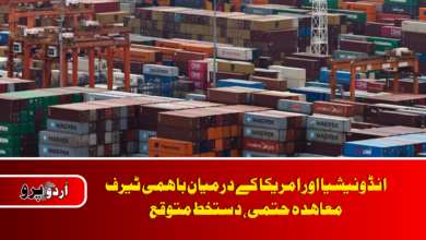 Indonesia finalises reciprocal tariff deal