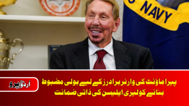 Ellison offers personal guarantee to beef up