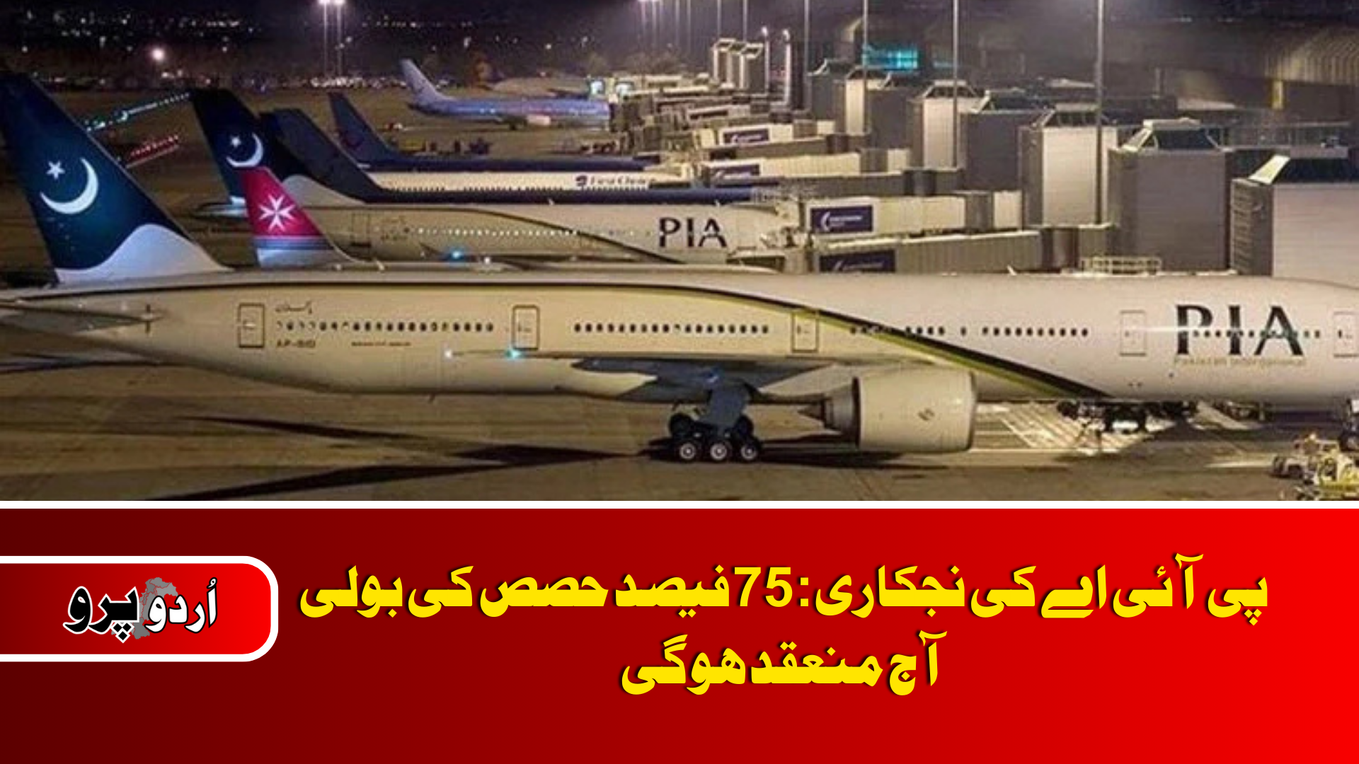 PIA privatization