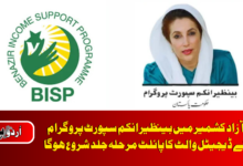 BISP digital wallet pilot