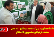 Aseefa Bhutto Zardari