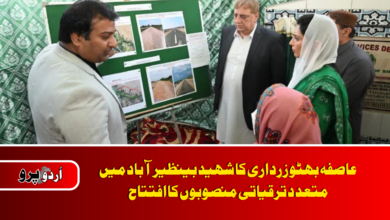 Aseefa Bhutto Zardari