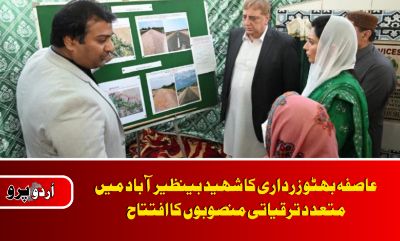 Aseefa Bhutto Zardari