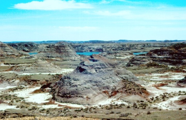 Hell Creek in Montana, the formation where Jodi was found.