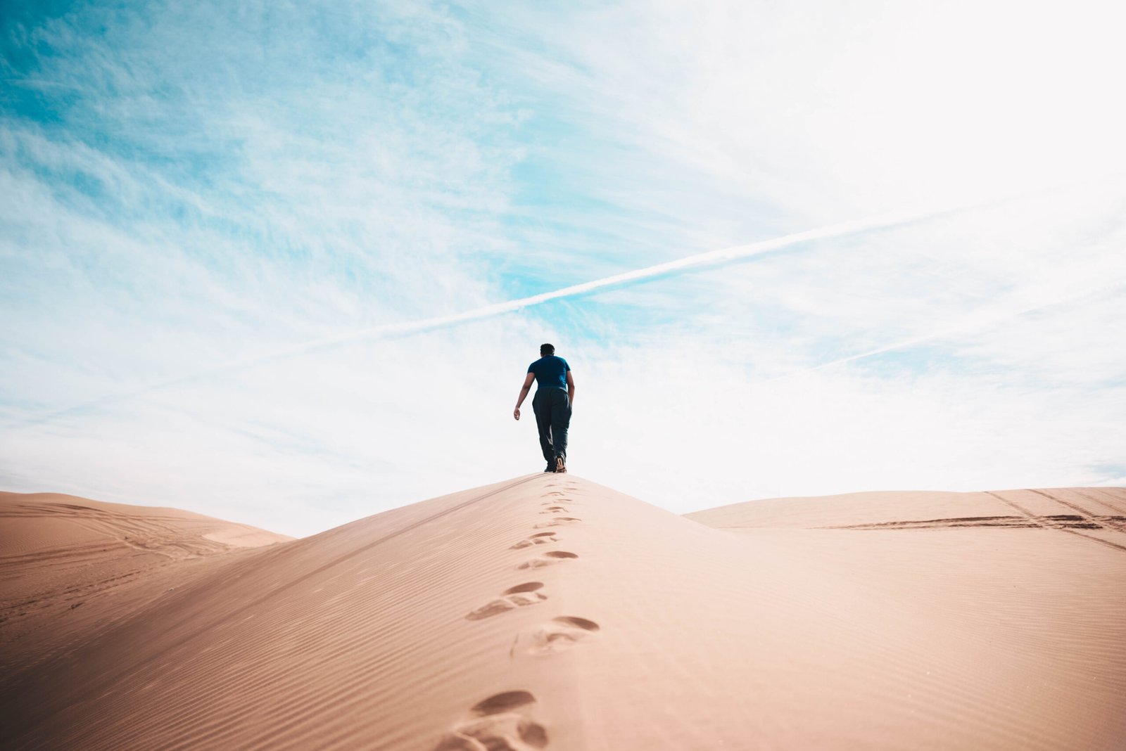 A person standing alone in a vast desert landscape