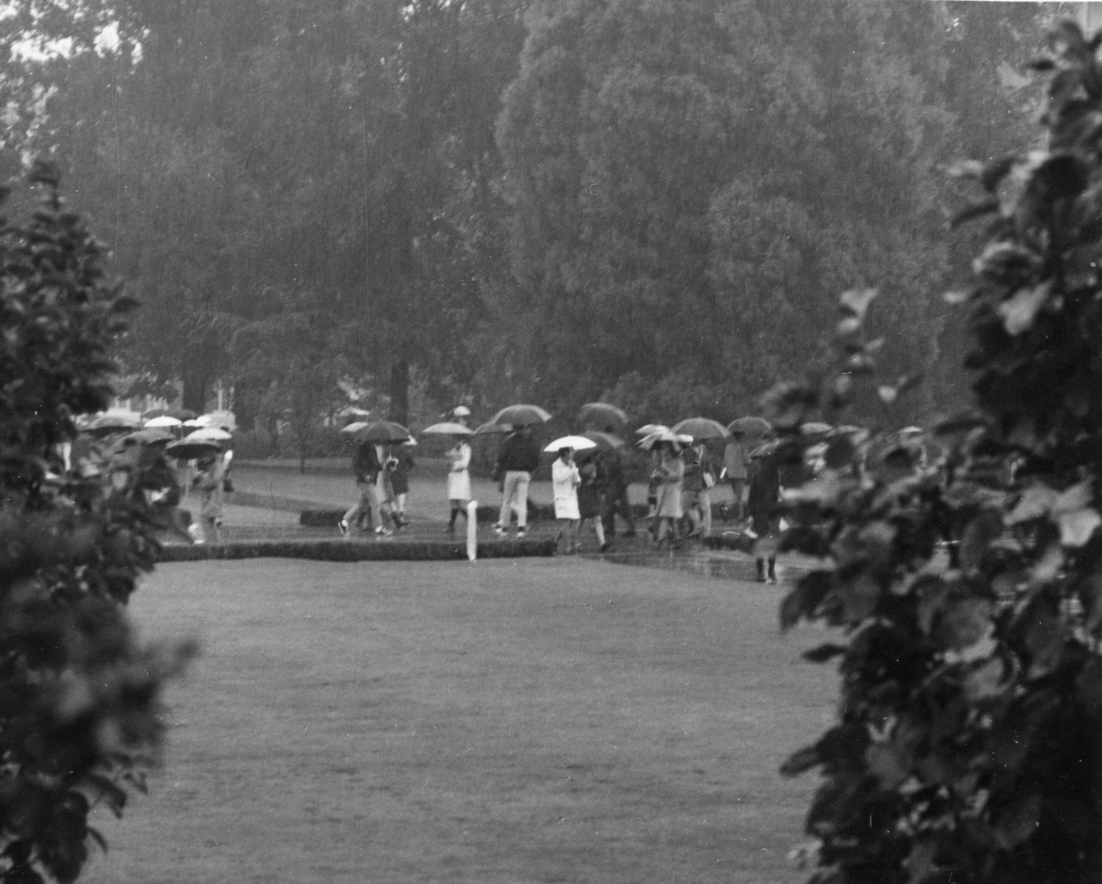People walking to a shelter during heavy rain
