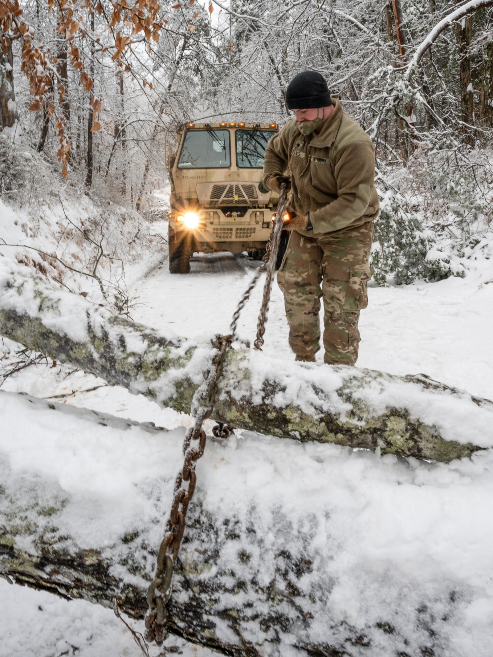 Workers clearing a fallen tree from a road