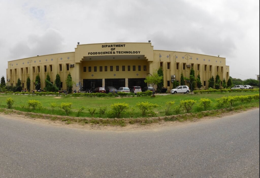 AI Conference in Karachi Concludes: Scientists Call for Responsible AI to Protect Environment