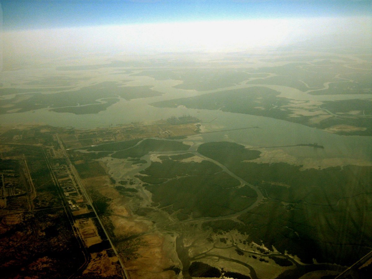 Mangrove forests at Port Qasim, Karachi — AI-driven ecosystem monitoring was a key conference theme