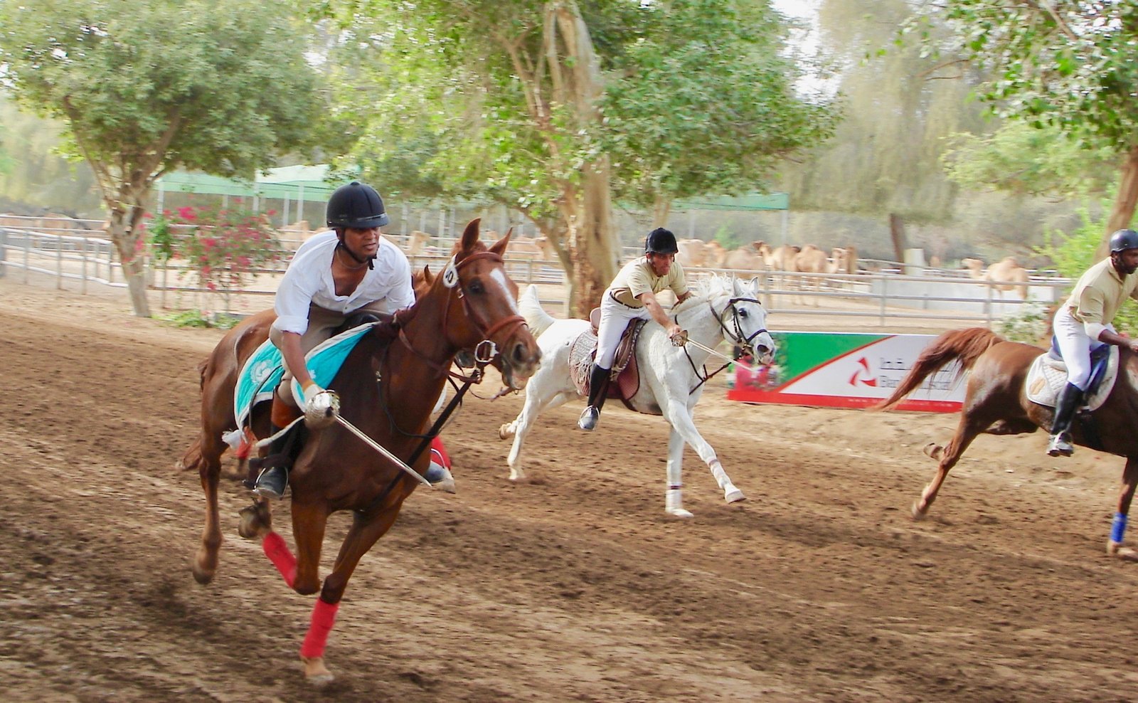 A tent pegging rider in action — the sport featured in the Patakha Pictures documentary The Horses Know Her Name