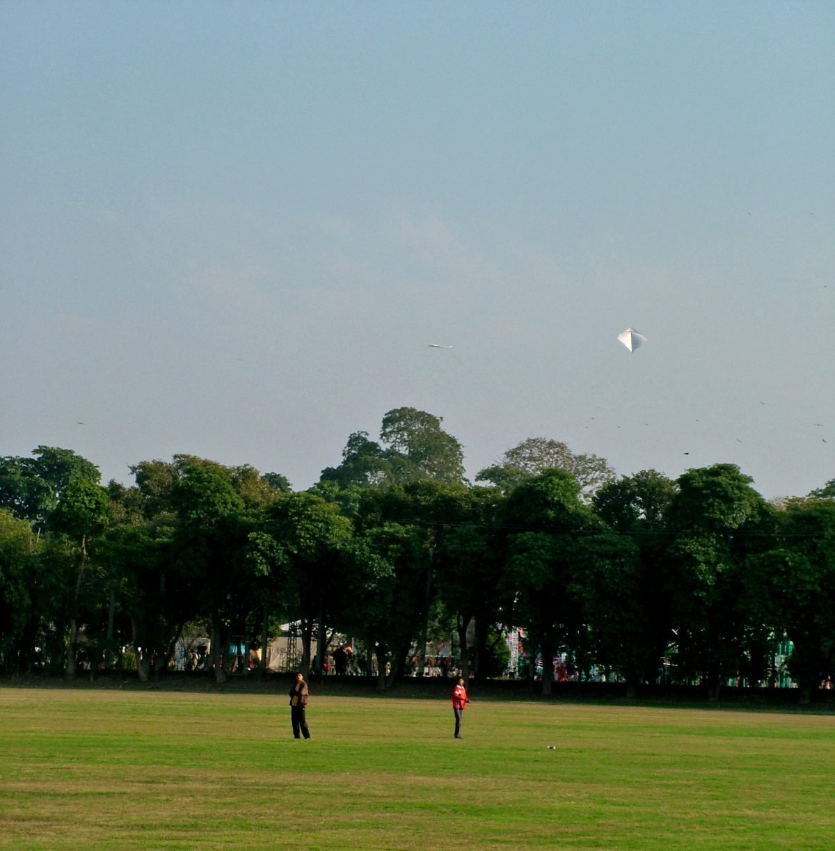 Children flying kites on an open green field at the Lahore Polo Club