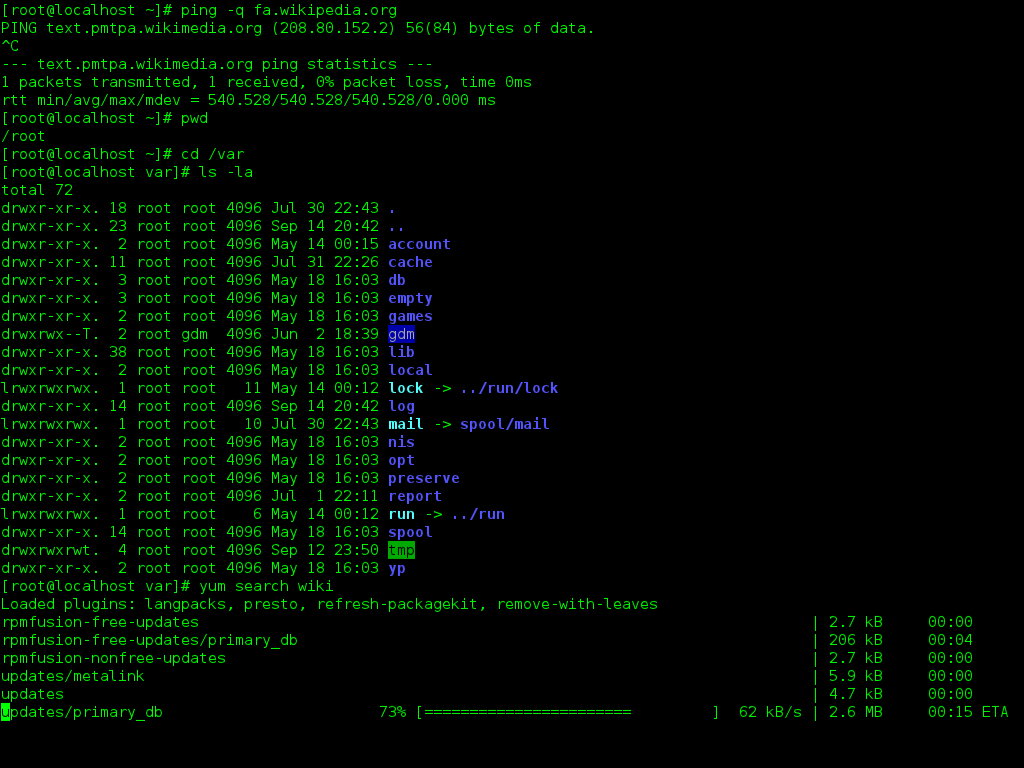 Developer terminal showing DeepSeek Search and Fetch APIs for AI agents