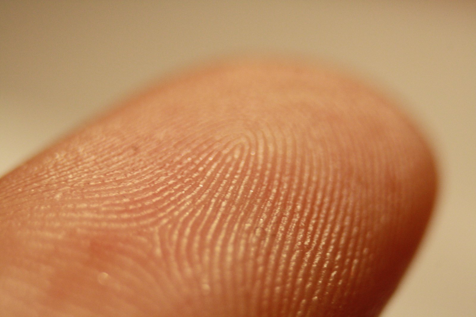 A fingerprint under examination (File photo)
