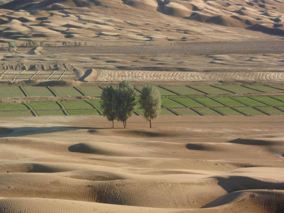 Desert terrain in Nushki district, Balochistan — representative image.