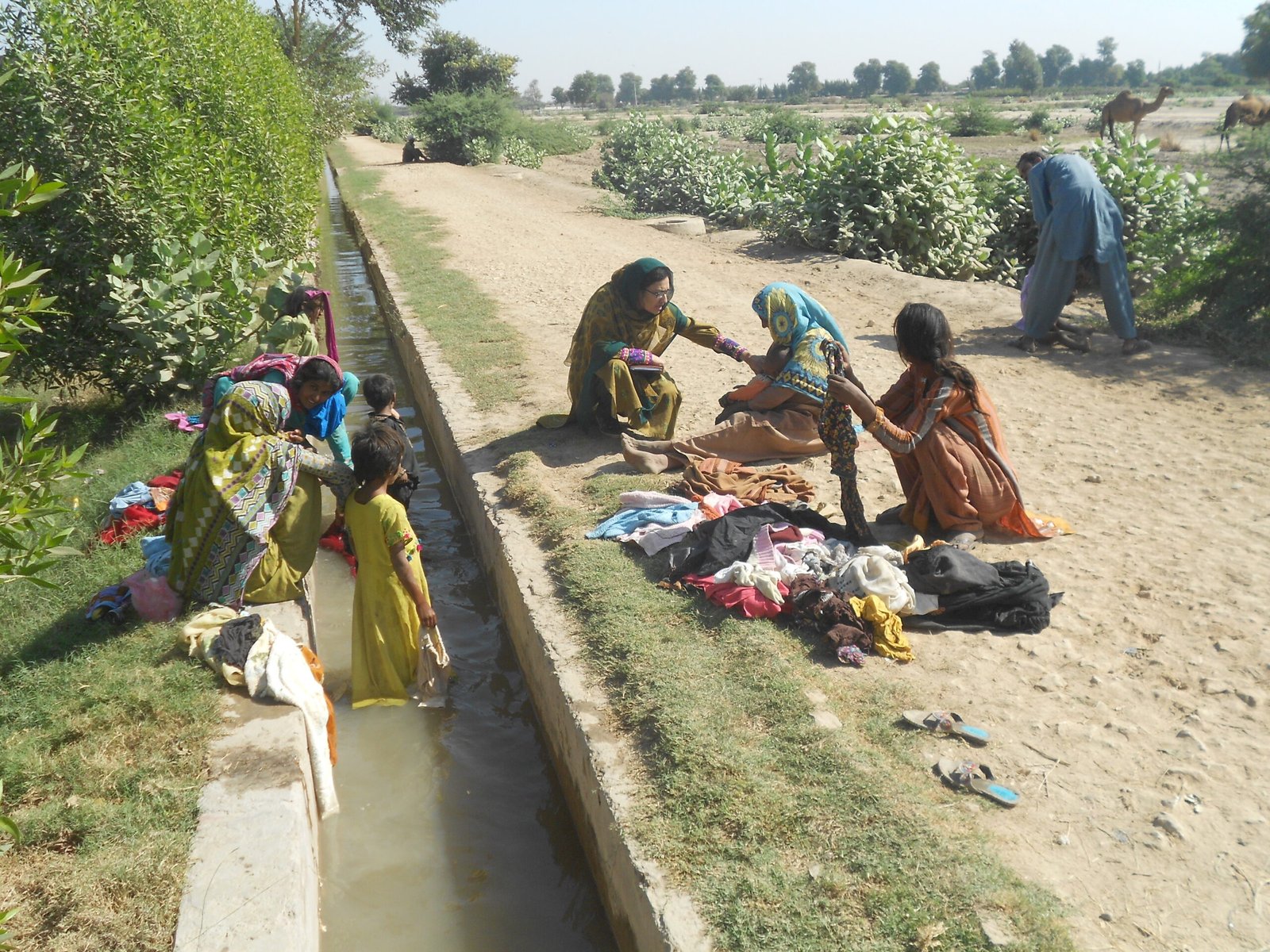 Polio vaccination campaign November 2026: health workers ensure vaccination coverage in Pakistan (file photo)
