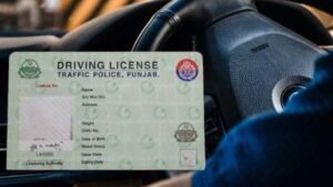 Punjab Driving License Scam Alert: Fake Websites & “Without Test” Fraud | UrduPro